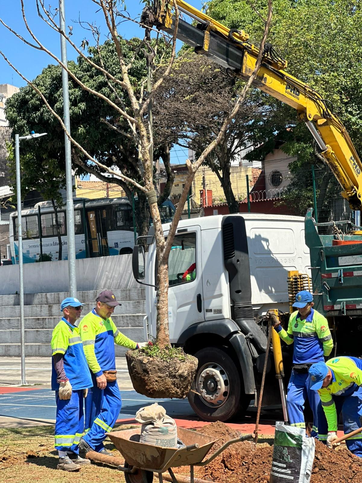Dia da Árvore: Parque Linear